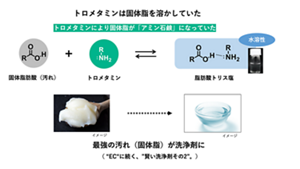 トリスは角栓の中で『汚れ』である固体あぶらに結合して、『液状の洗浄成分』に変えていた