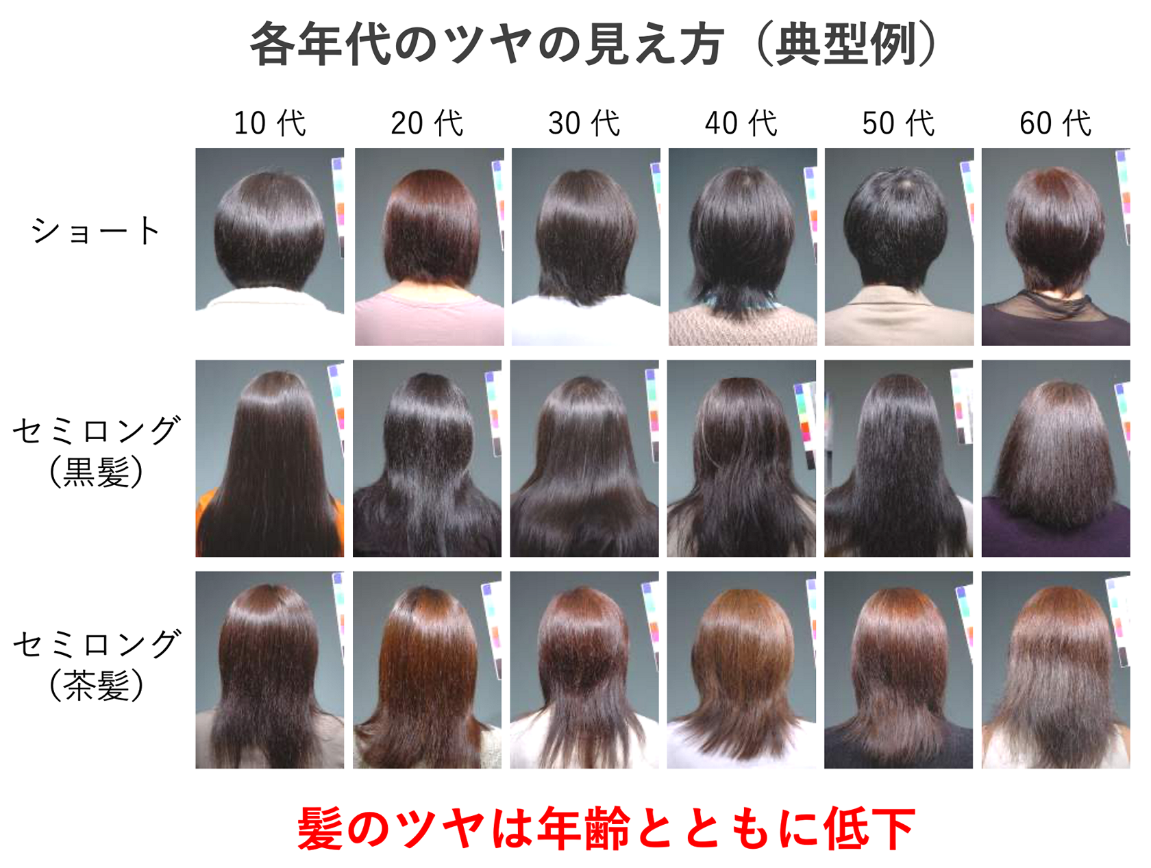 花王の顔 パサついてみえる の原因は くせ毛の増加 洗髪時にいかに髪を整えるかが仕上がりのカギに