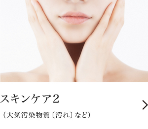 スキンケア２（大気汚染物質〔汚れ〕など）