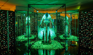 「エイミの光るシルク」の写真