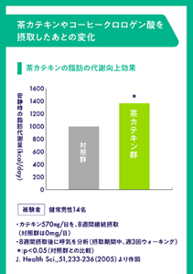 茶カテキンの脂肪の代謝向上効果 被験者：健常男性14名 ·カテキン570mg／日を、8週間継続摂取（対照群は0mg／日） ·8週間摂取後に呼気分析 対照群と比べ、安静時の脂肪代謝量が有意に増加