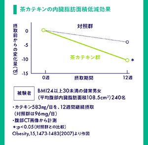 茶カテキンの内臓脂肪面積低減効果 被験者：BMI24以上30未満の健常男女240名 ·カテキン583mg／日を、12週間継続摂取（対照群は96mg／日）  対照群に比べ、摂取前からの変化量が有意に減少