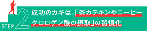 STEP2 成功のカギは、「茶カテキンやコーヒークロロゲン酸の摂取」の習慣化
