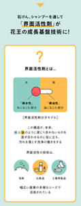 ▼　石けん、シャンプーを通じて「界面活性剤」が花王の成長基盤技術に！　界面活性剤とは…　[界面活性剤分子モデル]のイラスト　「親水性」水になじむ部分　「親油性」油になじむ部分　この構造が、本来、水と油のように混じり合わないものを混ぜ合わせるのに役立ち、汚れを落とす洗浄の働きをする　界面活性の技術は、洗剤、化粧品、工業用製品、幅広い産業の多様なニーズで活用されている