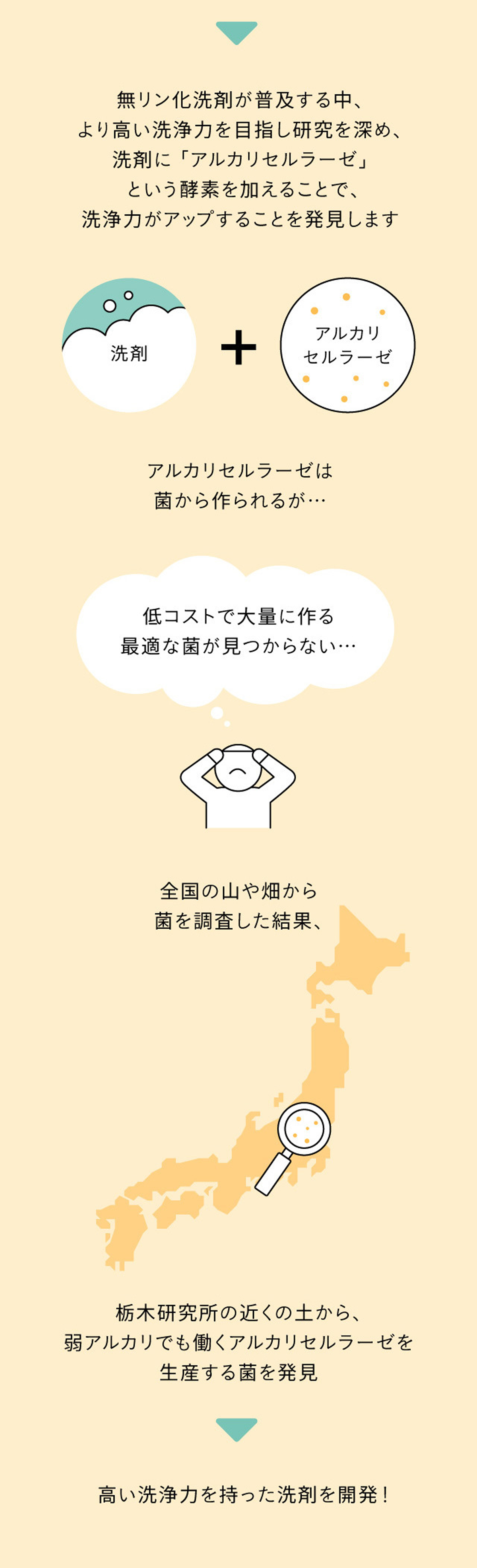 花王の顔｜社会課題と花王の技術史をインフォグラフィックス化 花王130