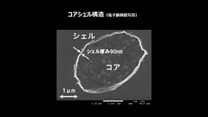 コアシェル構造（電子顕微鏡写真）