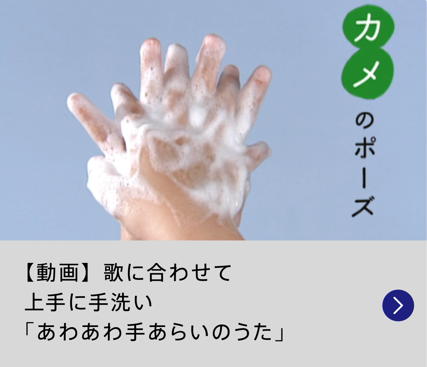 暮らしのきれいを守ろう 花王の衛生情報 暮らしのきれいを守ろう 花王の衛生情報