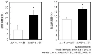 図1 茶カテキンが食後の酸素消費量と脂肪代謝量に与える影響を示した棒グラフ。左側には酸素消費量、右側には脂肪代謝量が示されている。茶カテキン摂取により、両者とも有意に増加した。