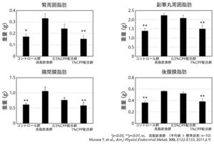 花王 | 栄養代謝の研究開発 | クロロゲン酸類の体脂肪低減効果