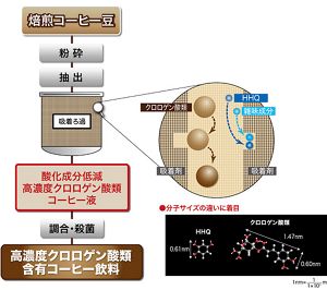 花王 | 栄養代謝の研究開発 | コーヒー風味成分の探求