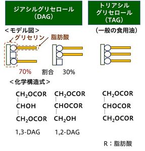 見事な 花王 | 栄養代謝の研究開発 | ジアシルグリセロール油とは その他