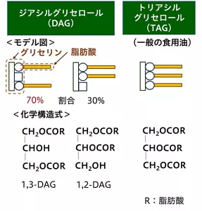 図1　ジアシルグリセロールの化学構造式。右端は、グリセリンに3本の脂肪酸がエステル結合したトリアシルグリセロール。真ん中に、2本の脂肪酸がグリセリンの1位と2位にエステル結合した1,2-ジアシルグリセロール。左端にグリセリンの1位と3位にエステル結合した1,3-ジアシルグリセロールを示した。
