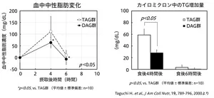 図1　左図は、血中中性脂肪濃度の変動を示すグラフ。トリアシルグリセロール油摂取群は、摂取後3時間で最大値に達し、その後減少。ジアシルグリセロール油摂取群は、摂取後の中性脂肪濃度がトリアシルグリセロール油摂取群より低い。右図は、カイロミクロン中のTG濃度を示すグラフ。トリアシルグリセロール油摂取群はジアシルグリセロール油摂取群に比べてTG濃度が有意に高い。