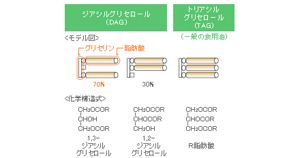 DAG(ジアシルグリセロール)の機能と栄養 (shin-