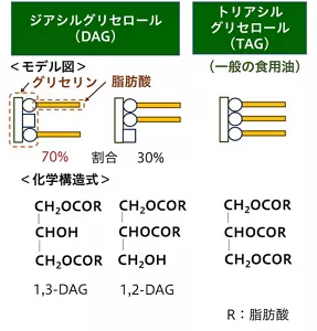 図1　ジアシルグリセロールの化学構造式。右端は、グリセリンに3本の脂肪酸がエステル結合したトリアシルグリセロール。真ん中に、2本の脂肪酸がグリセリンの1位と2位にエステル結合した1,2-ジアシルグリセロール。左端にグリセリンの1位と3位にエステル結合した1,3-ジアシルグリセロールを示した。
