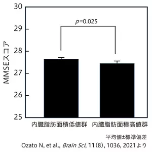 図2 認知機能と内臓脂肪量との関連性を示す棒グラフ。 内臓脂肪低値群と内臓脂肪高値群のミニメンタルステート検査（MMSE）のスコアの比較。内臓脂肪高値群の方が内臓脂肪低値群より、有意にMMSEスコアが低かった。