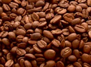 ポリフェノール研究1　コーヒークロロゲン酸類