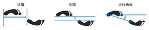 図１　歩幅、歩隔、歩行角度の測定を示す図。 両足歩行の足跡のイラストが描かれている。「歩幅」は片方の足のかかとから、他方の足のかかとまでの、縦方向の距離。「歩隔」は片方の足のかかと内側と、他方の足のかかと内側の、横方向の距離。「歩行角度」は進行方向に対する、片方の足から他方の足に向かう方向の角度を示す。
