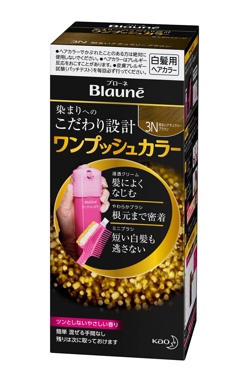 花王 製品カタログ ブローネ ワンプッシュカラー 3n 明るいナチュラリーブラウン 花王 製品カタログ ブローネ ワンプッシュカラー 3n 明るいナチュラリーブラウン