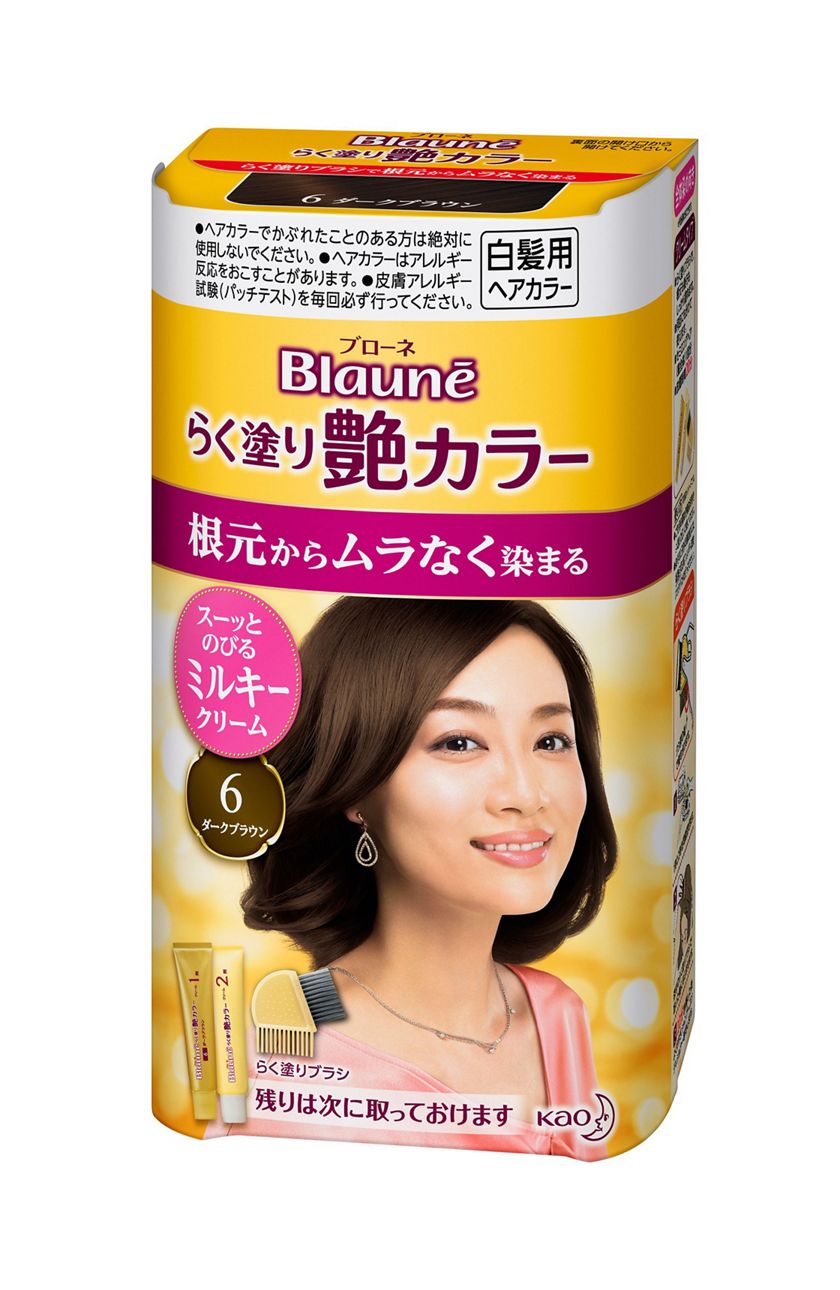 花王 製品カタログ ブローネ らく塗り艶カラー 6 ダークブラウン 花王 製品カタログ ブローネ らく塗り艶カラー 6 ダークブラウン