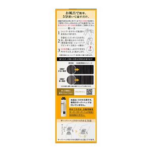 花王|製品カタログ|ブローネ リライズ 白髪用髪色サーバー リ