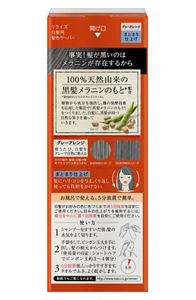 花王|製品カタログ|リライズ 白髪用髪色サーバー グレーアレンジ ...