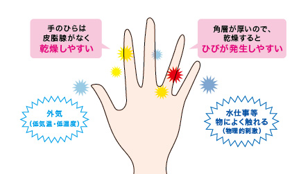 花王 スキンケアナビ 手のケア 花王 スキンケアナビ 手のケア