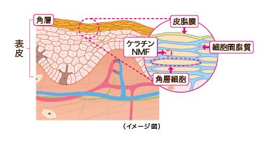 頭皮のケアアドバイザー井手のブログ