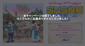 本キャンペーンは 終了しました。 たくさんのご応募 ありがとうございました！