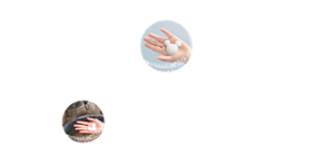 「きれいになったよ！」東京ディズニーランド®・東京ディズニーシー®のハンドウォッシングエリアでは、きょうも子どもたちが目を輝かせて、ミッキーシェイプの泡のハンドソープで手を洗っています。