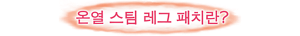 온열 스팀 레그 패치란?