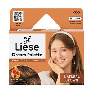 Liese Dream Palette Cream Color Natural Brown