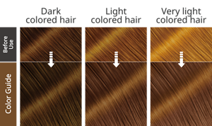 Chestnut Brown. After use hair image.