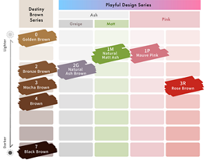 Liese Blauné Creamy Foam Color. Color Chart.