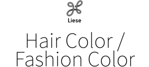 Liese Hair Color /  Fashion Color