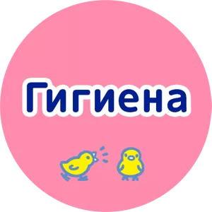 Гигиена