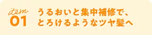 item 01うるおいと集中補修で、とろけるようなツヤ髪へ