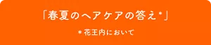 「春夏のヘアケアの答え」 *花王内において