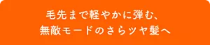 毛先まで軽やかに弾む、無敵モードのさらツヤ髪へ