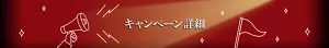 キャンペーン詳細