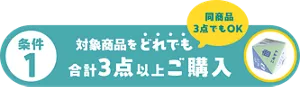 条件1は対象商品をどれでも合計3点以上ご購入（同商品3点でもOK）
