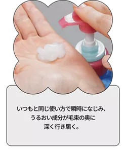 いつもと同じ使い方で瞬時になじみ、うるおい成分が毛束の奥に深く行き届く。