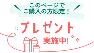 このページでご購入の方限定！ プレゼント実施中！