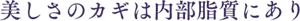 美しさのカギは内部脂質にあり