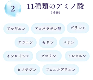 2 11種類のアミノ酸（補修）　アルギニン アスパラギン酸 グリシン アラニン セリン バリン イソロイシン プロリン トレオニン ヒスチジン フェニルアラニン