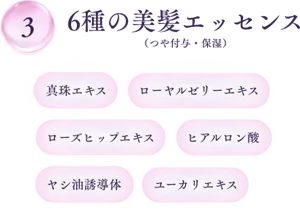 3 6種の美髪エッセンス（つや付与・保湿）　真珠エキス ローヤルゼリーエキス ローズヒップエキス ヒアルロン酸 ヤシ油誘導体 ユーカリエキス