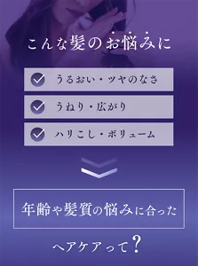 こんな髪のお悩みに　うるおい・ツヤのなさ、うねり・広がり、ハリこし・ボリューム　年齢や髪質の悩みに合ったヘアケアって？