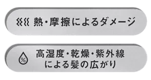 熱・摩擦によるダメージ　高湿度・乾燥・紫外線による髪の広がり