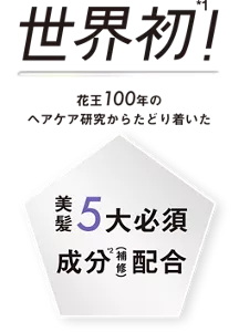 世界初*1！花王100年のヘアケア研究からたどり着いた 美髪5大必須成分*2（補修）配合
