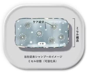 当社従来シャンプーのイメージ　ミセル状態（可溶化系）